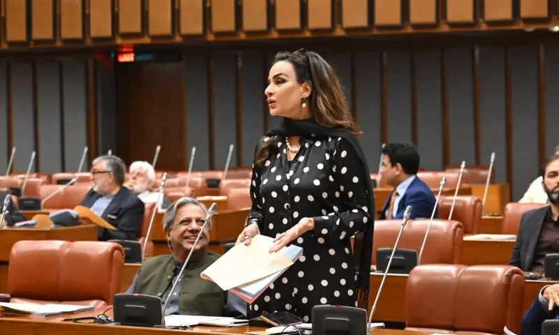 ‘Abandon this dangerous fantasy’: Senate echoes with PPP’s displeasure over remarks on creating Karachi province ‘Abandon this dangerous fantasy’: Senate echoes with PPP’s displeasure over remarks on creating Karachi province